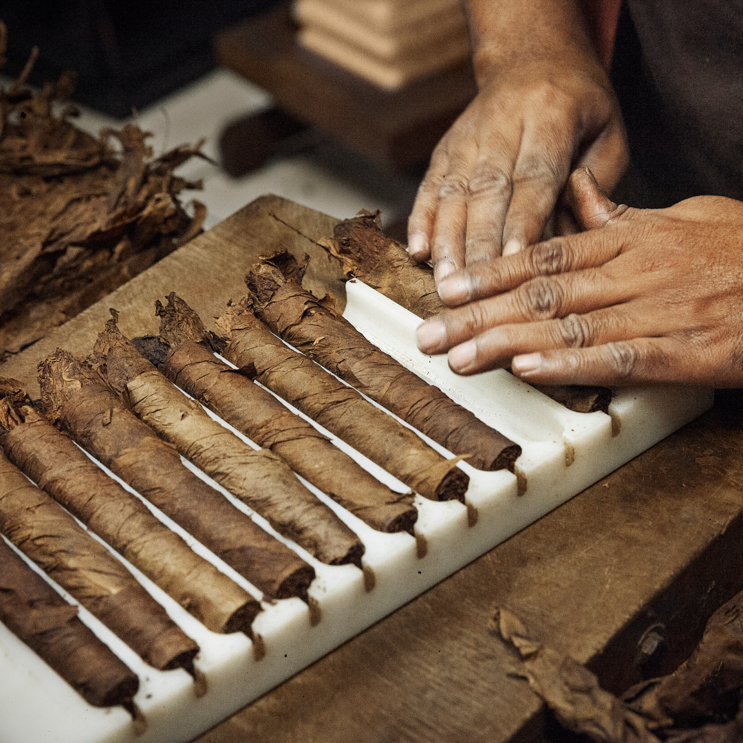 Saborland Cigar Rolling